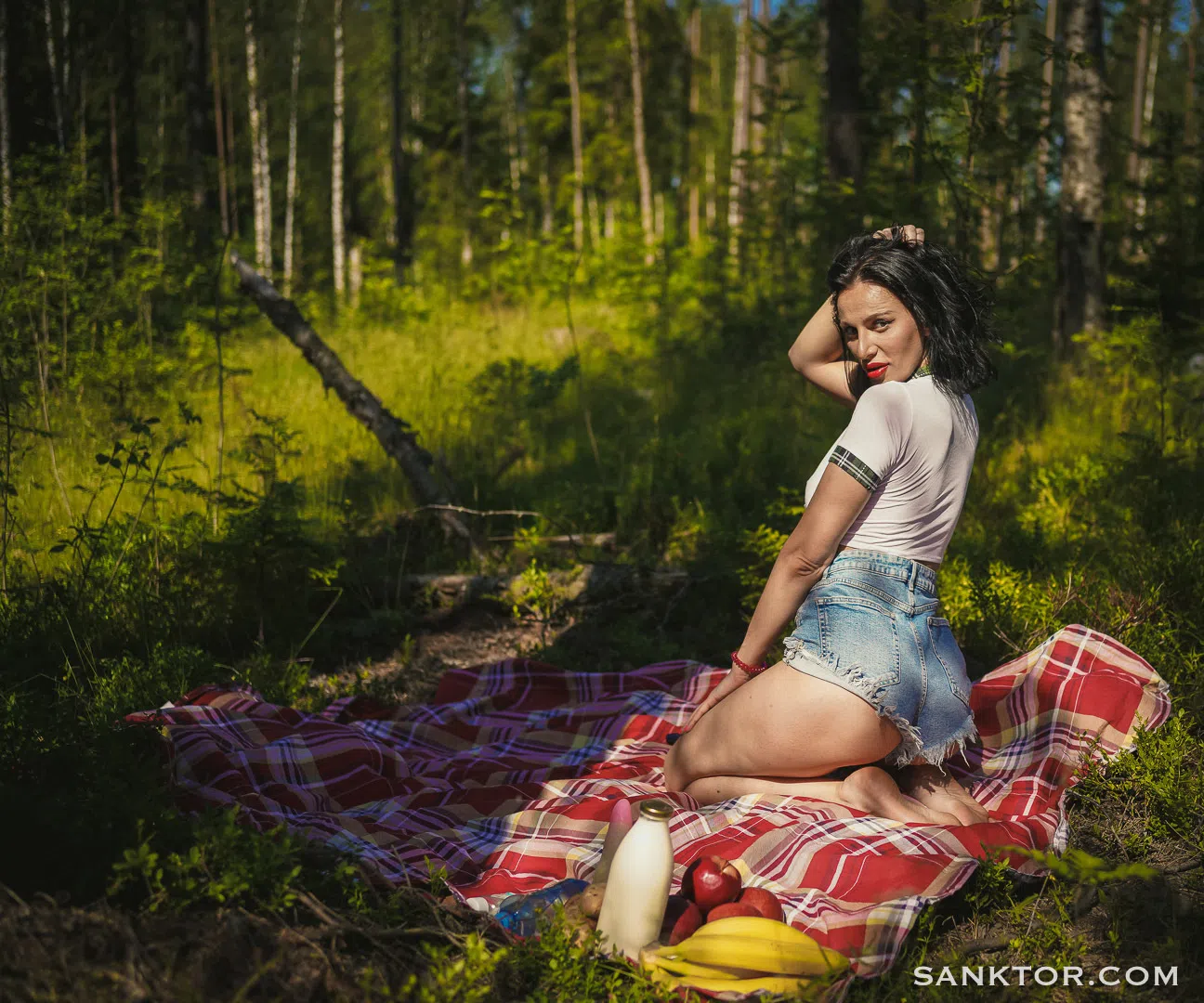 afina-sanktor-86495 Of Page 1-1.webp