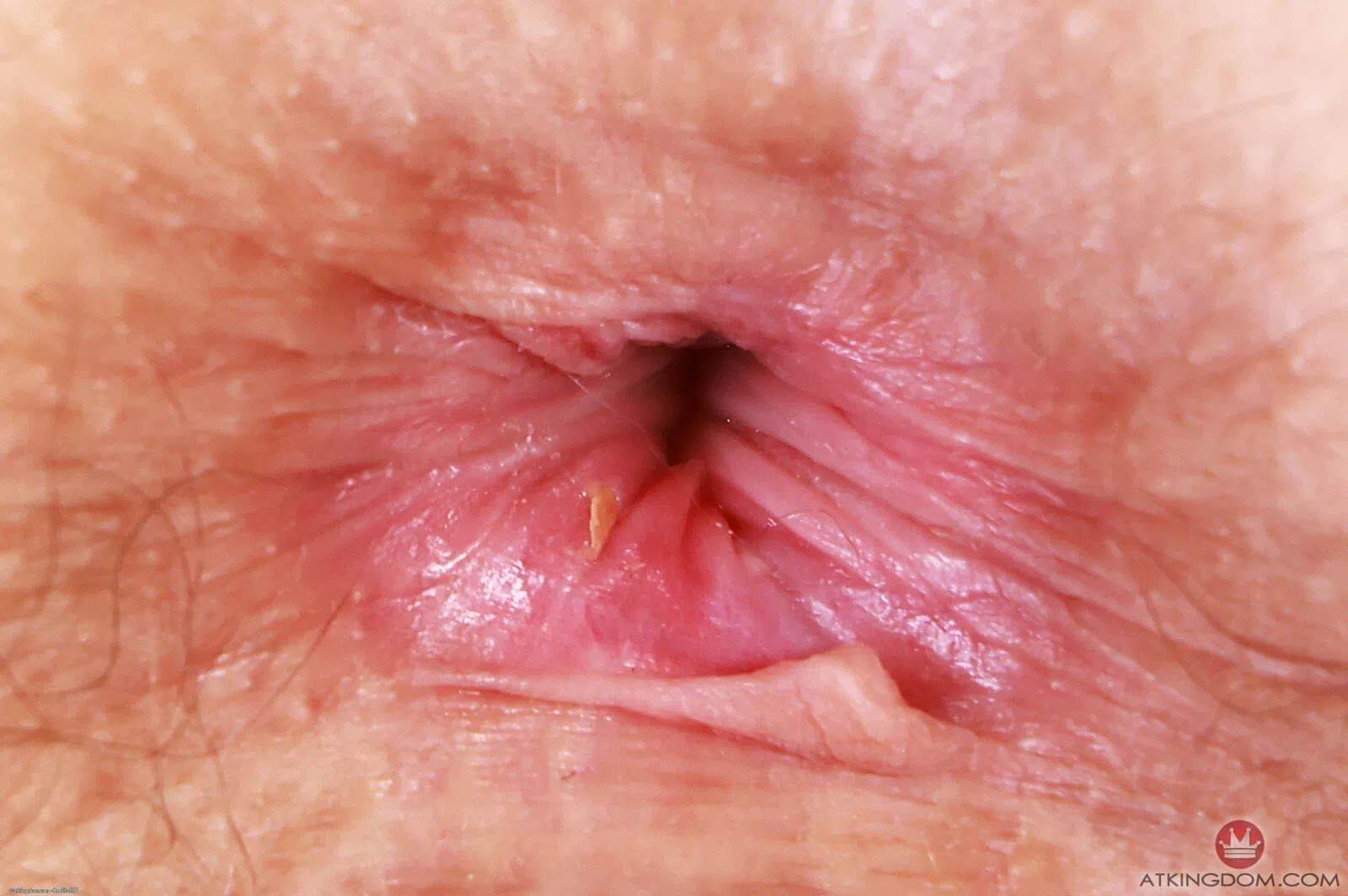 jackie-hoff-atk-hairy-145362 Of Page 2-10.webp
