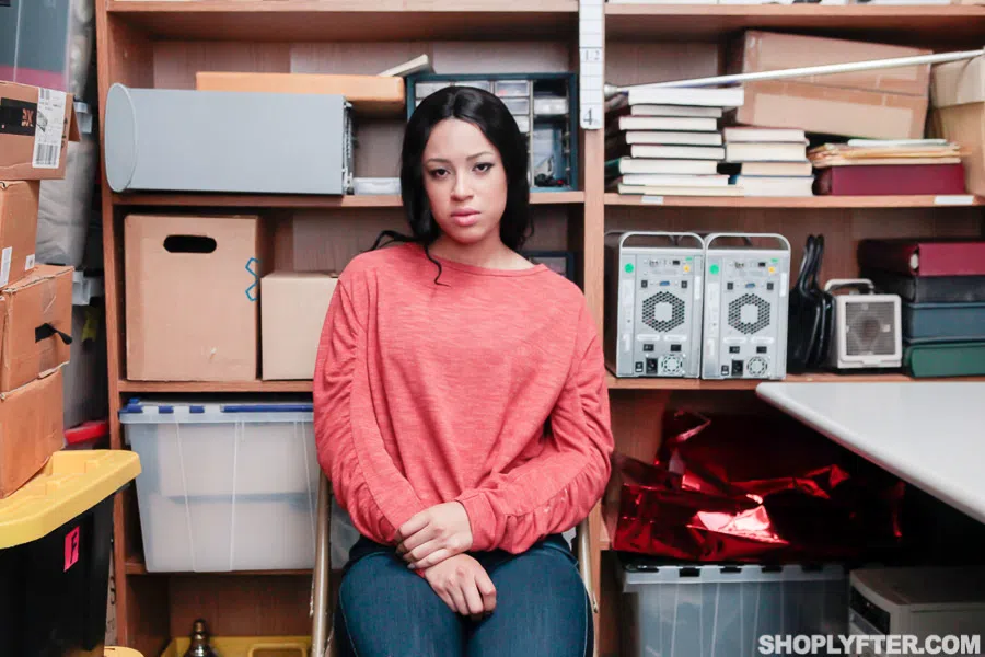 amethyst-banks-shoplyfter-48867 Of Page 1-1.webp
