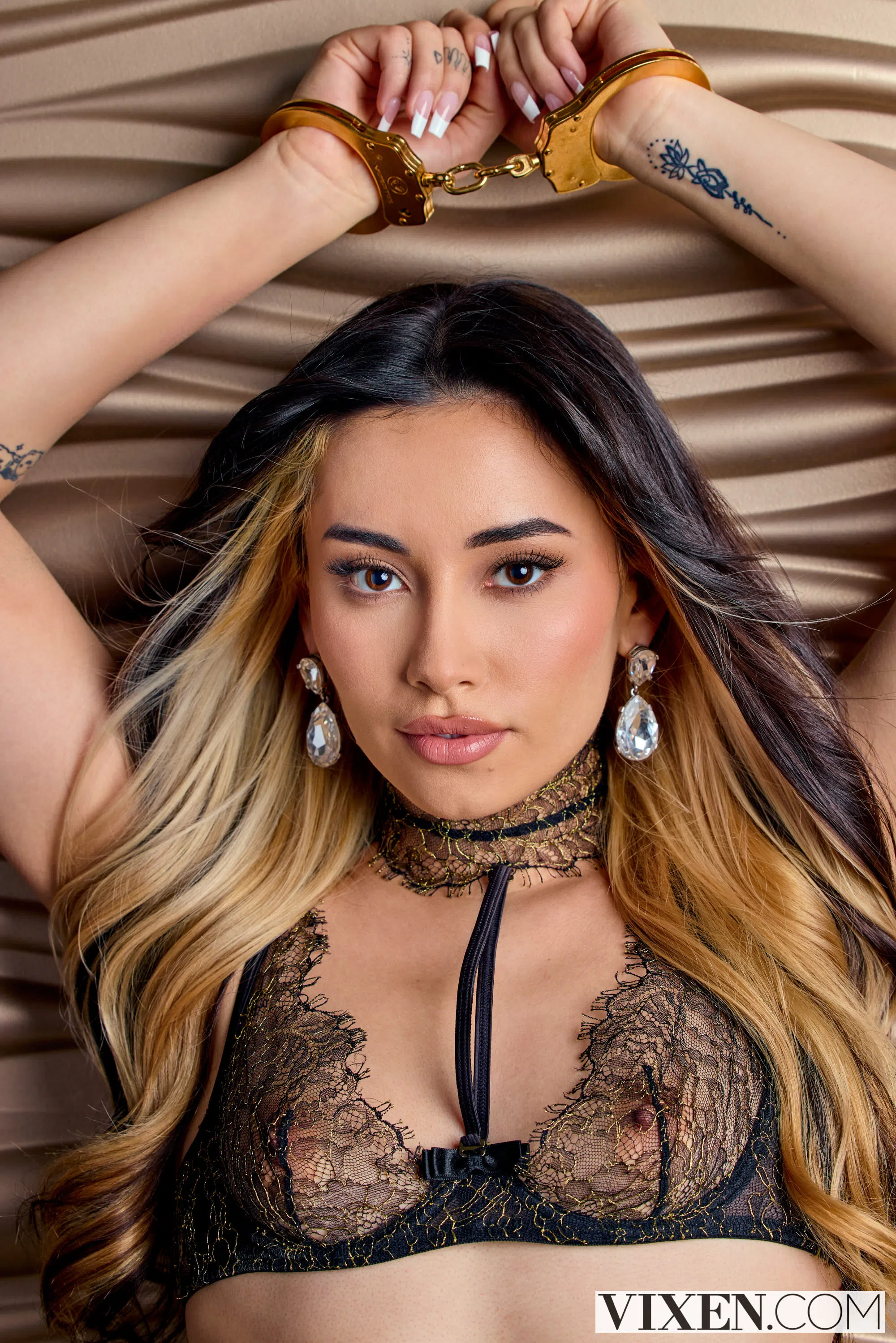 aria-lee-vixen-198201 Of Page 1-4.webp