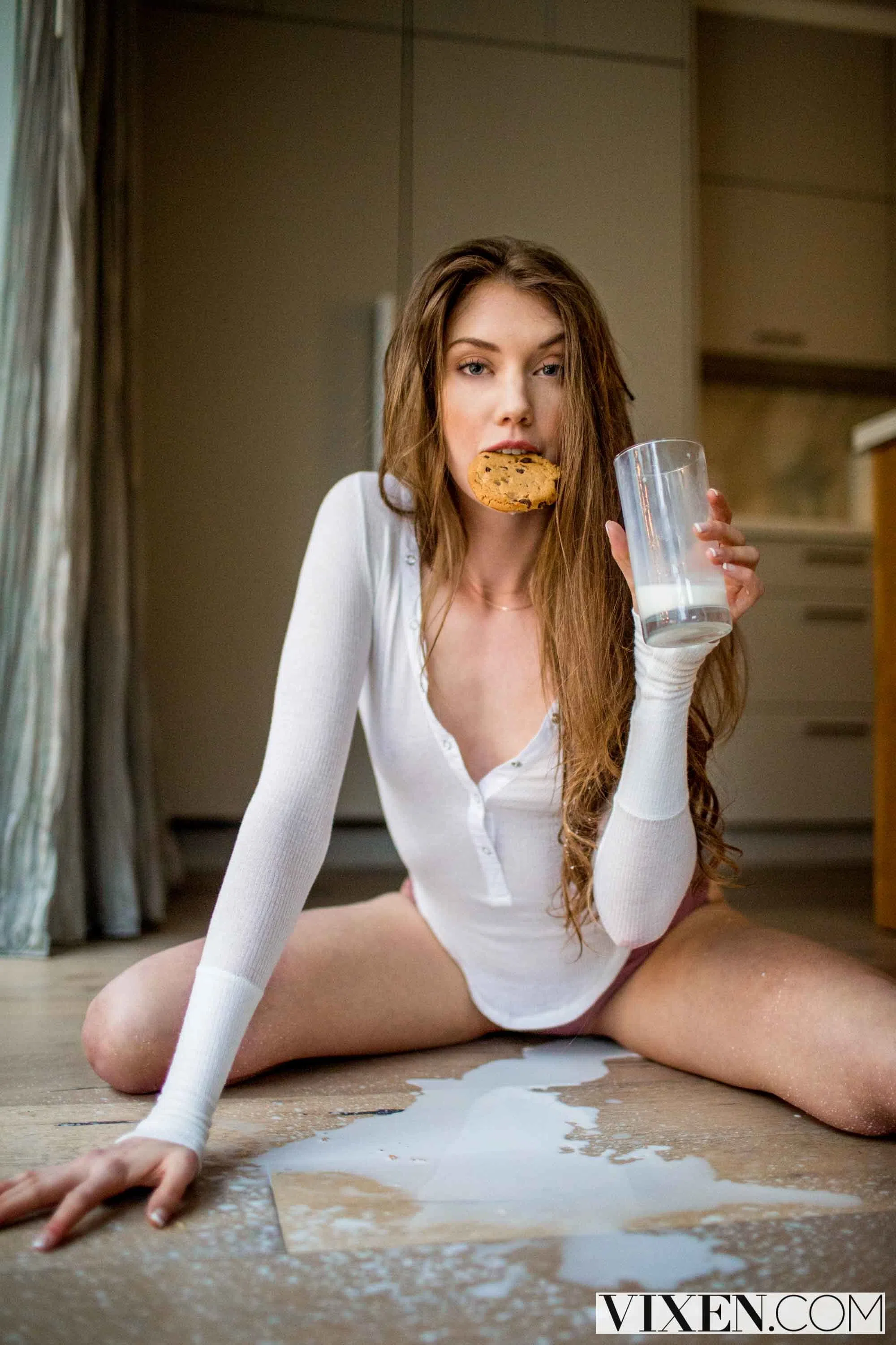 elena-koshka-vixen-44855 Of Page 1-4.webp