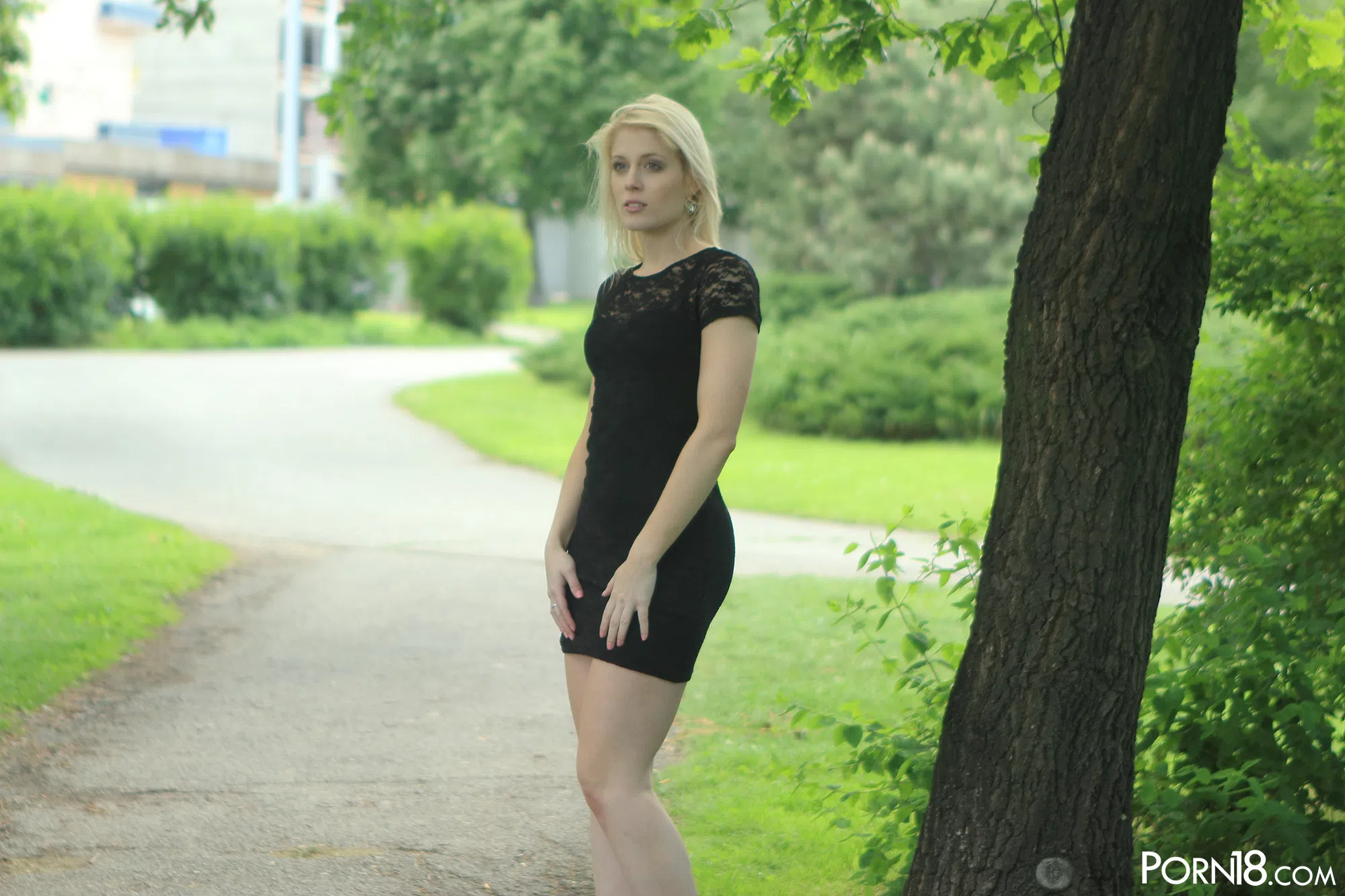 sweet-cat-porn-18-14914 Of Page 1-1.webp