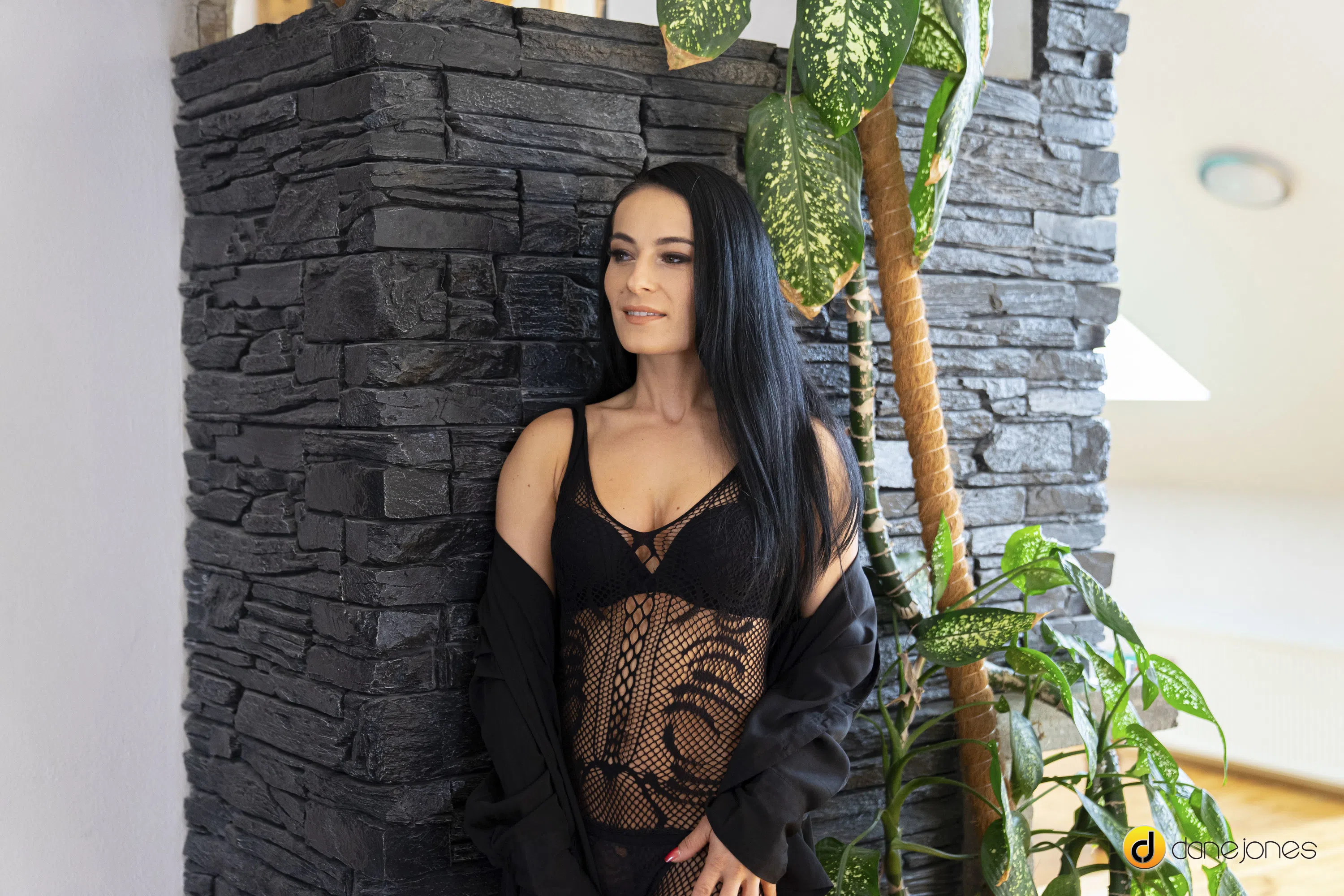 lexi-dona-dane-jones-87211 Of Page 1-2.webp