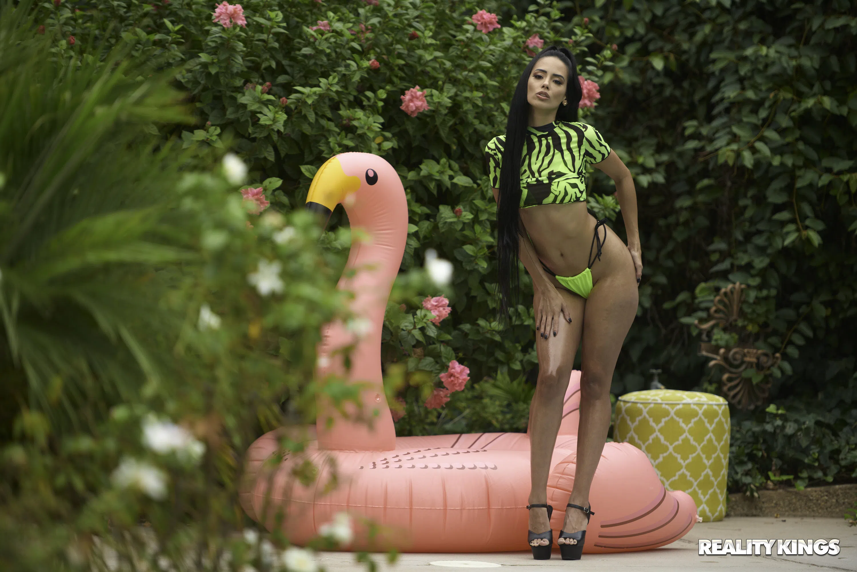 andreina-deluxe-rk-prime-90586 Of Page 1-2.webp