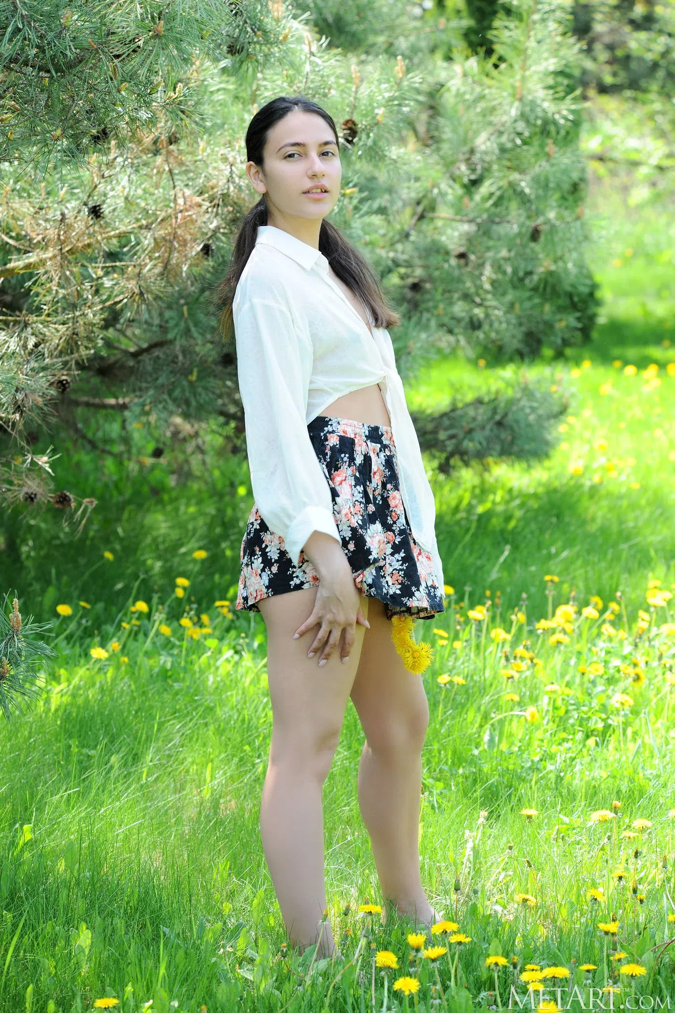 cira-nerri-metart-123802 Of Page 1-2.webp