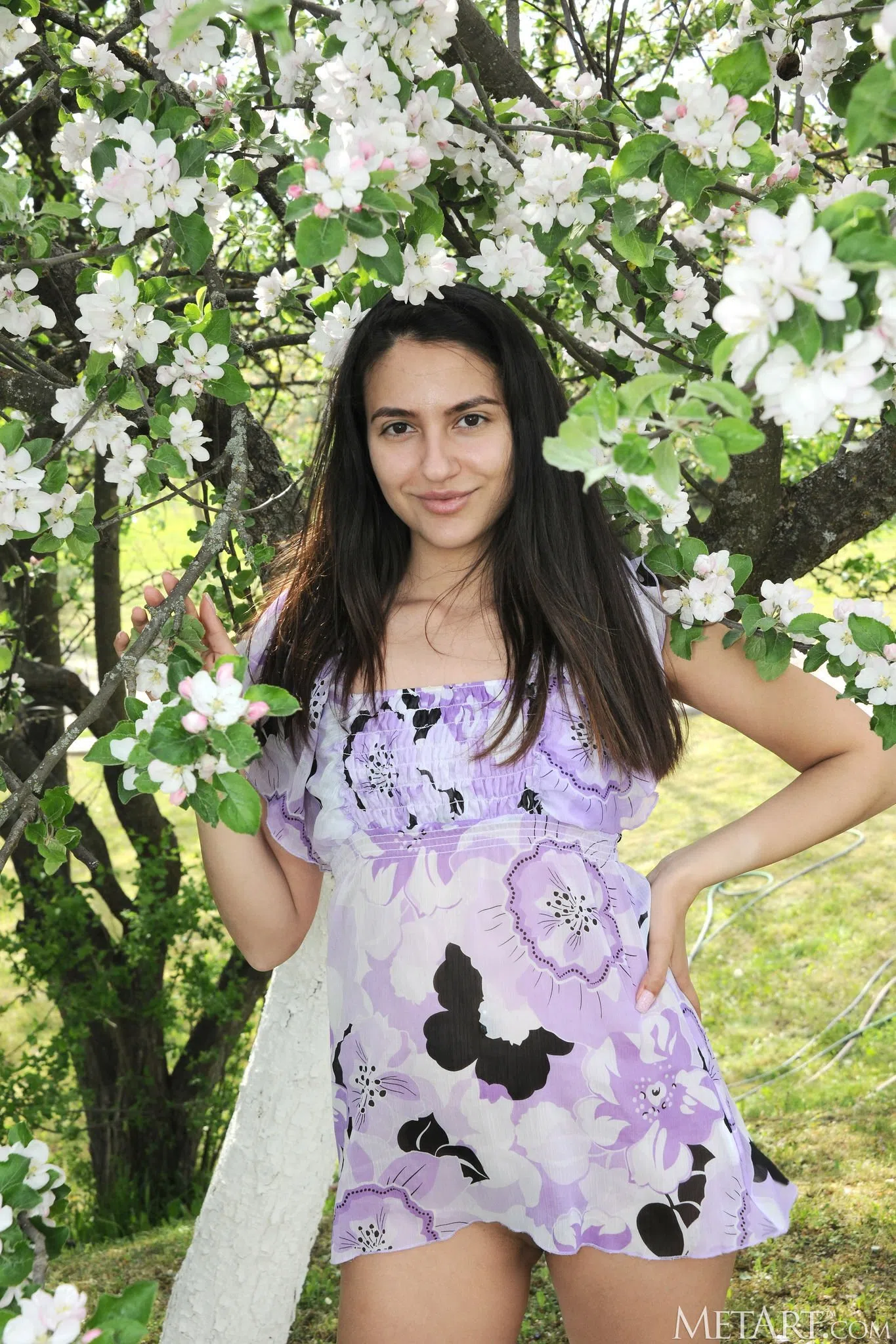 cira-nerri-metart-149450 Of Page 1-1.webp