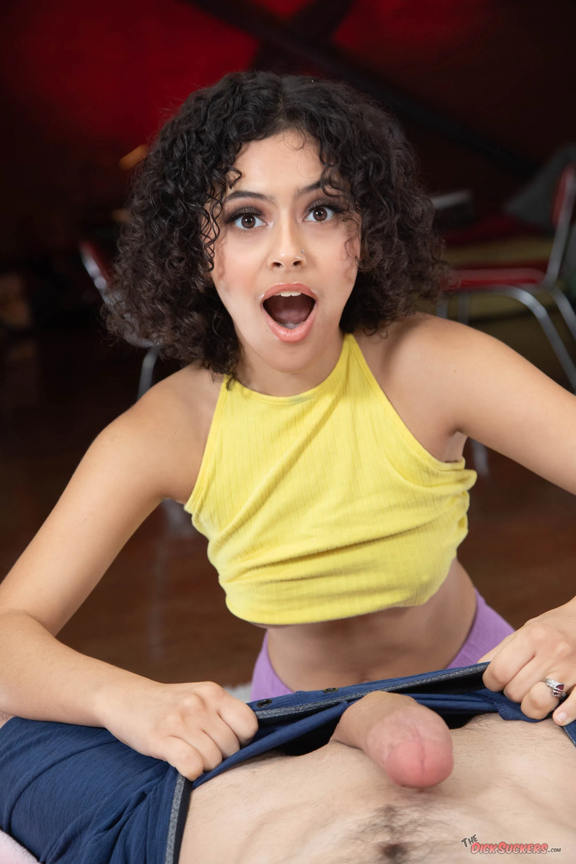 dani-diaz-the-dicksuckers-142560 Of Page 2-6.webp
