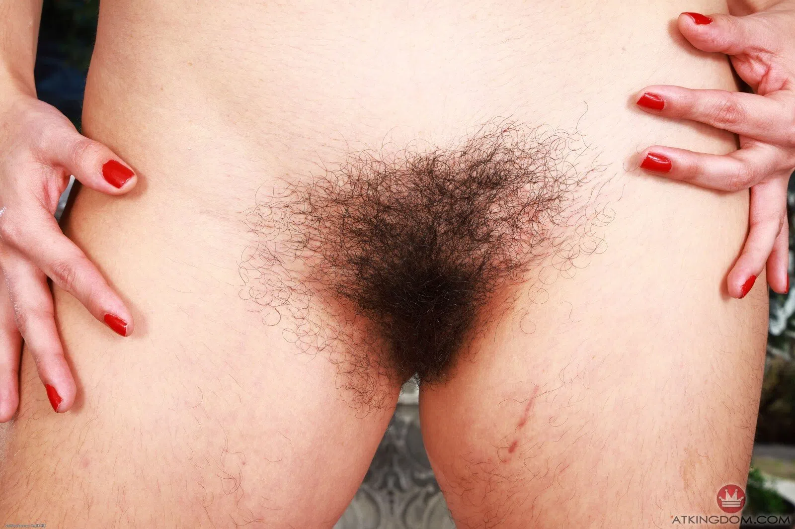 lucy-sunflower-atk-hairy-139773 Of Page 1-5.webp