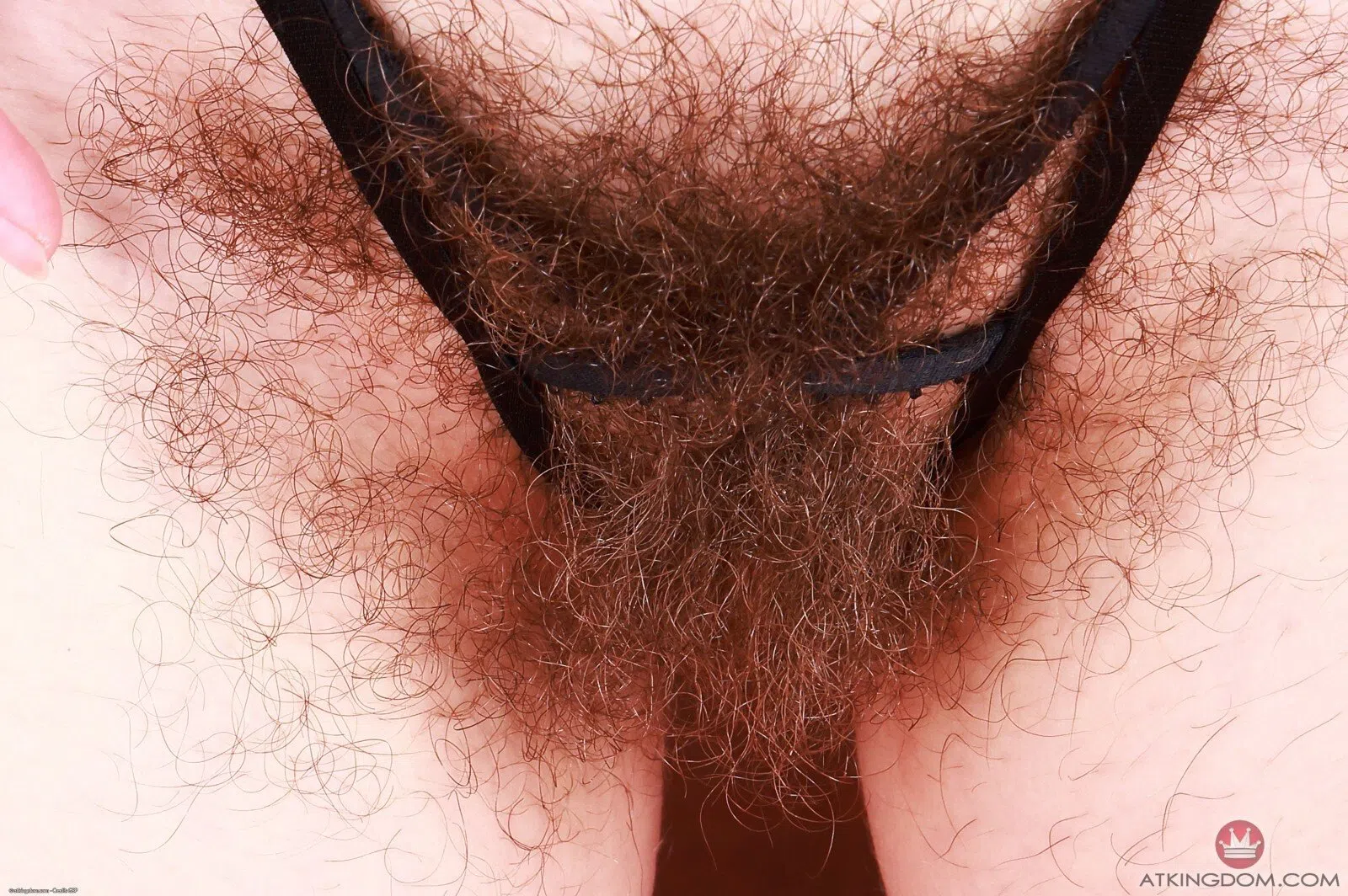sia-wood-atk-hairy-174647 Of Page 1-2.webp