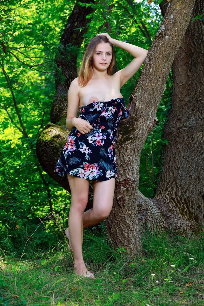 dakota-pink-metart-71311 Of Page 1-2.webp