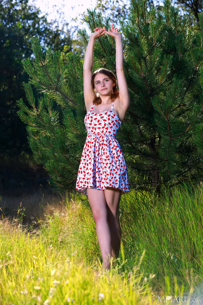 dakota-pink-metart-86868 Of Page 1-1.webp