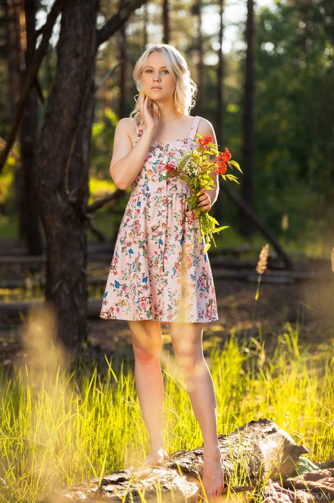 nikki-hill-metart-103931 Of Page 1-1.webp