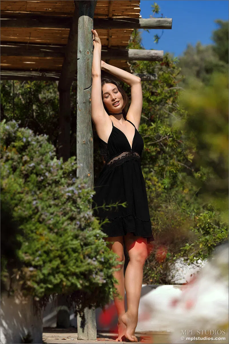 calypso-mpl-studios-81326 Of Page 1-1.webp