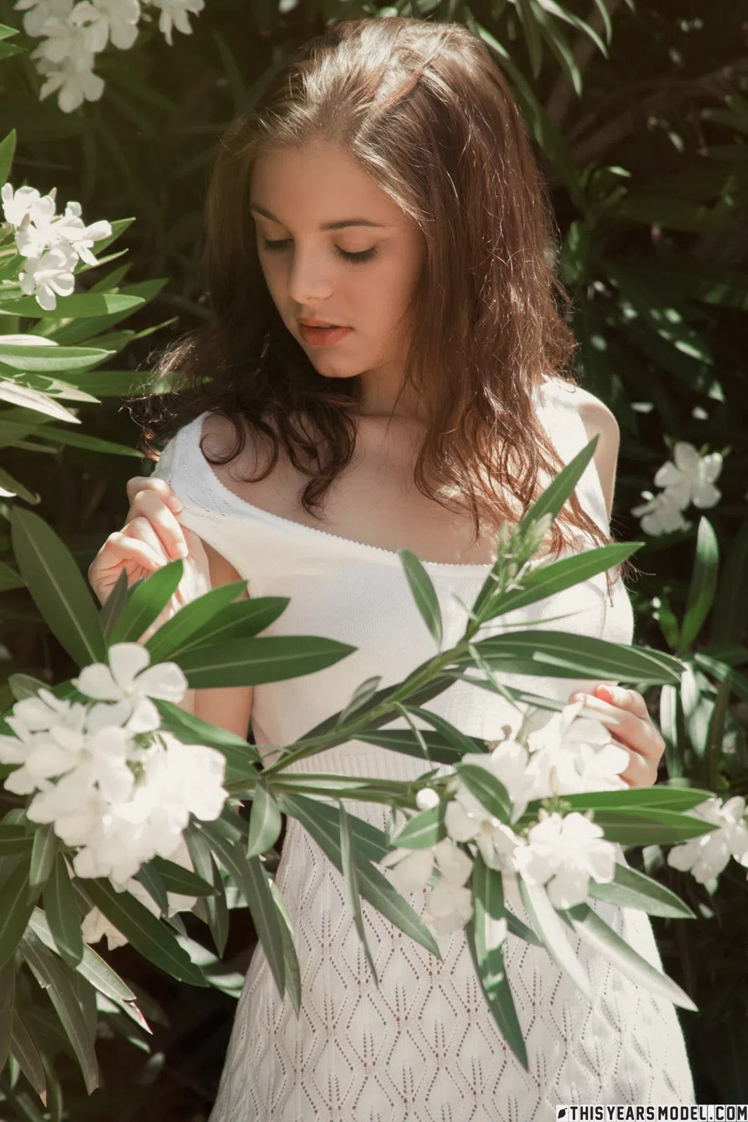 darien-grey-this-years-model-135675 Of Page 1-2.webp