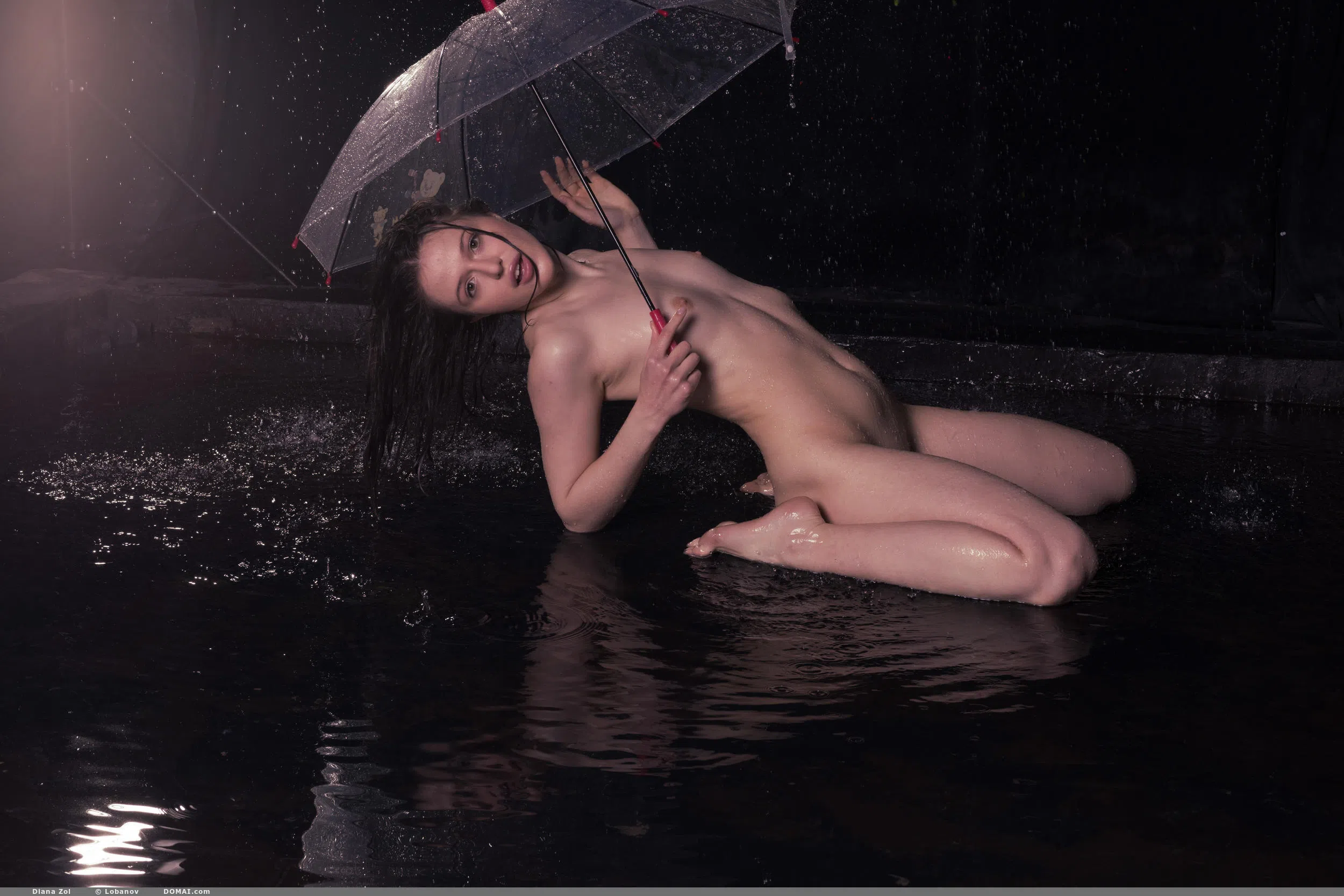 diana-zol-domai-174139 Of Page 2-10.webp