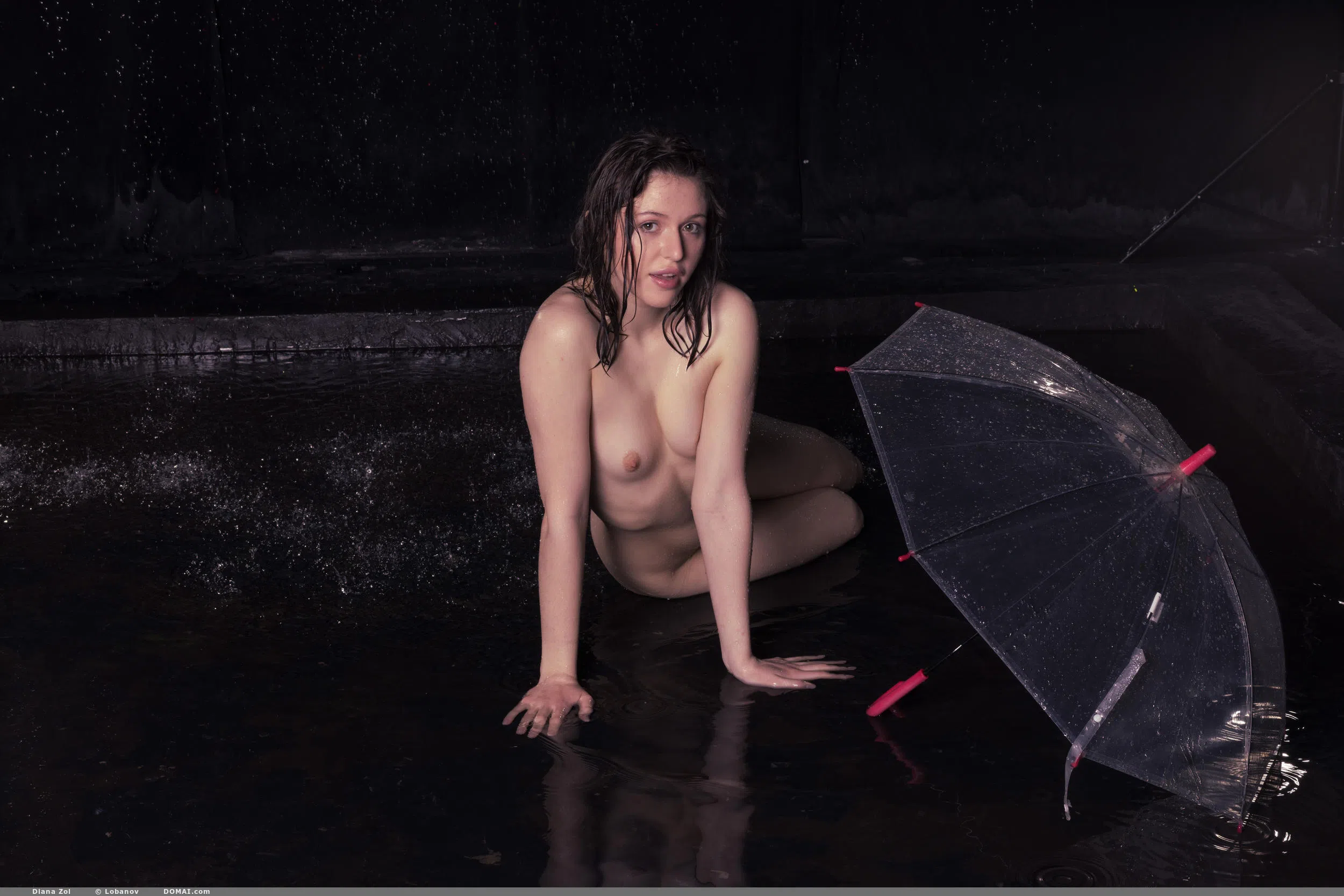 diana-zol-domai-174139 Of Page 3-12.webp
