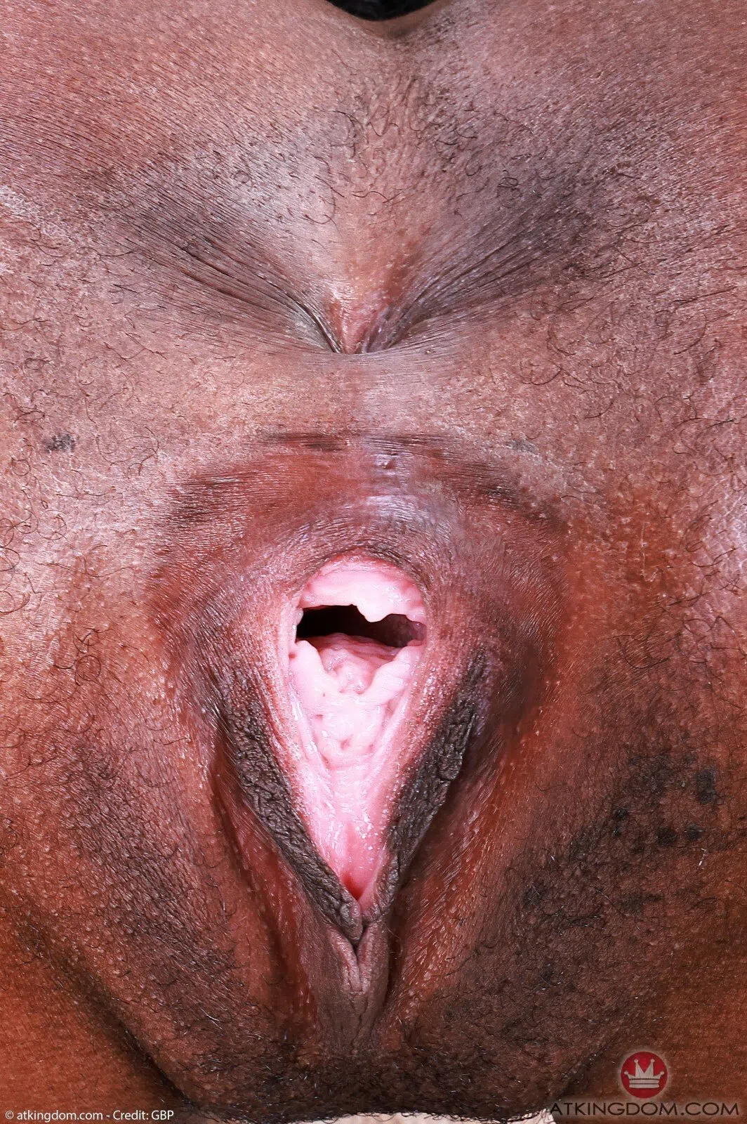 poppy-cox-atk-exotics-200243 Of Page 4-16.webp