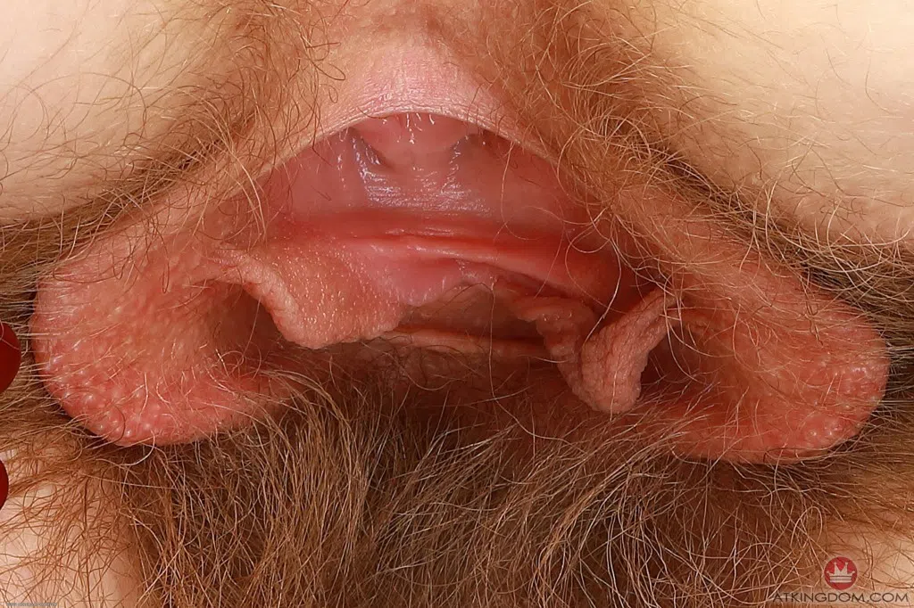 apricot-pitts-atk-hairy-95097 Of Page 2-10.webp