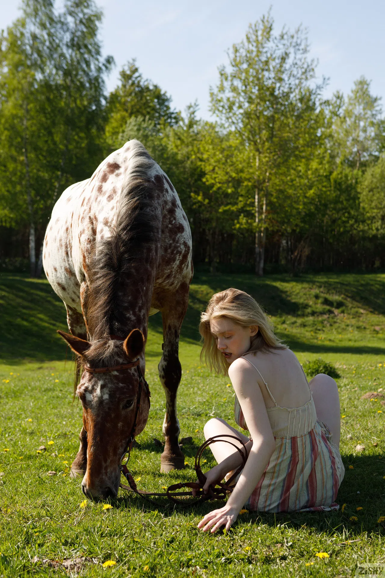 cami-sembrabella-zishy-182959 Of Page 2-9.webp