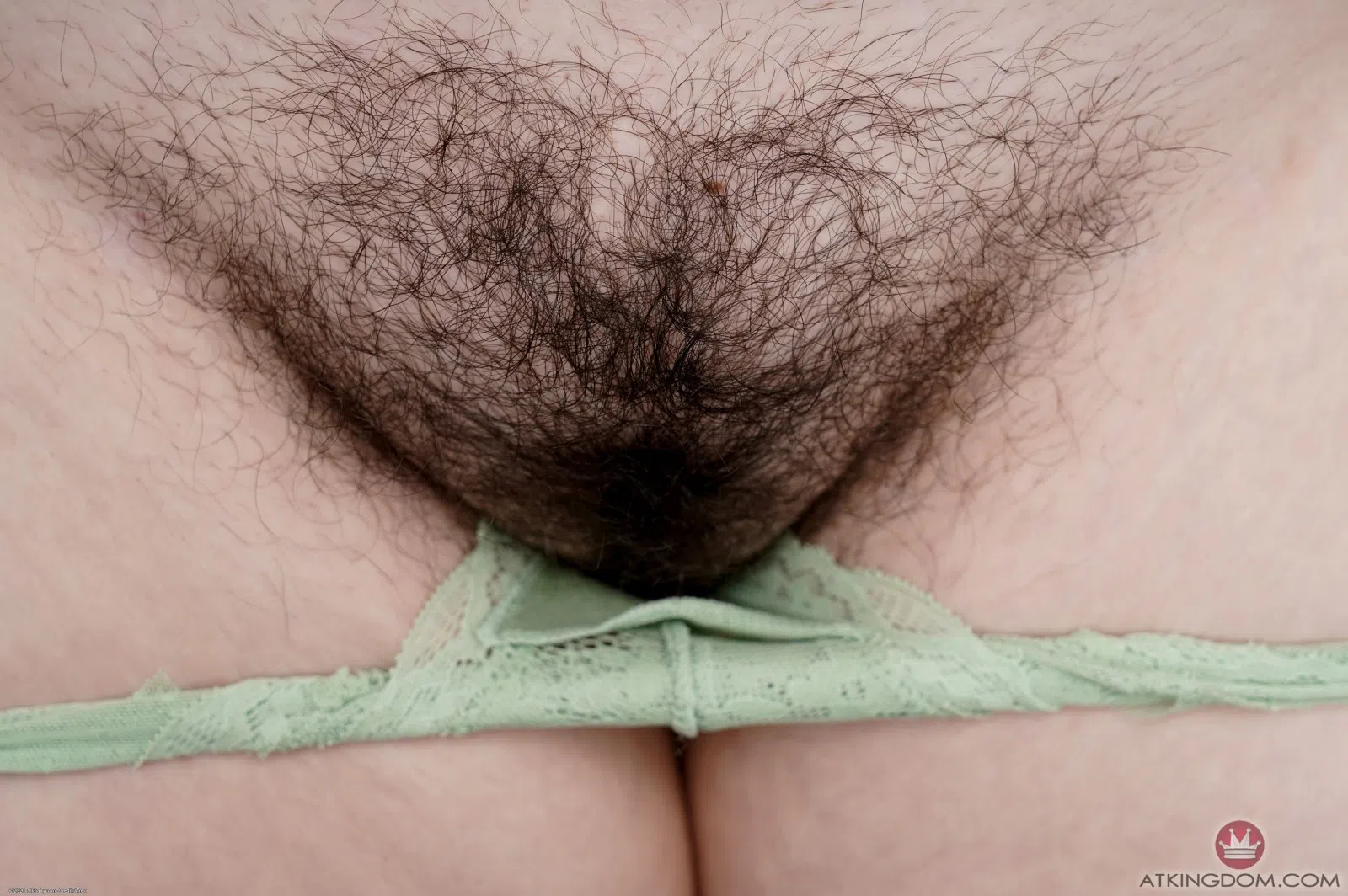 cece-atk-hairy-90082 Of Page 2-8.webp