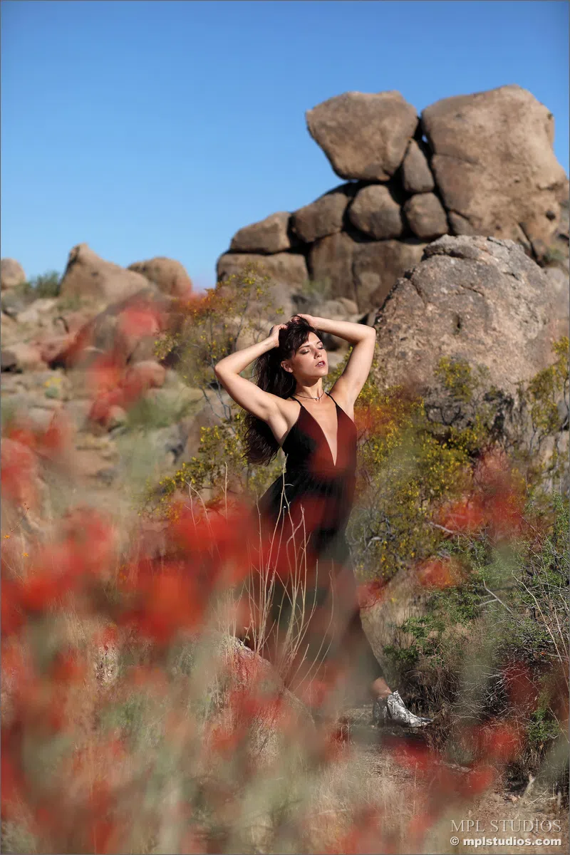 elena-generi-mpl-studios-108809 Of Page 1-2.webp