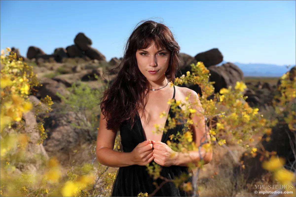 elena-generi-mpl-studios-108809 Of Page 1-3.webp