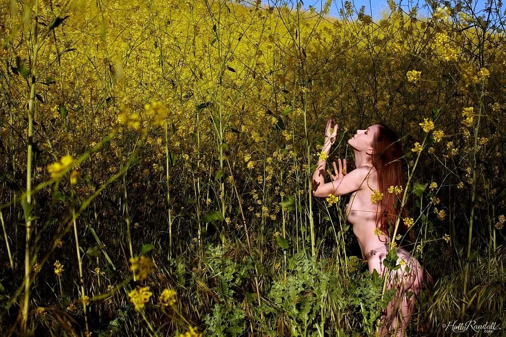 emily-bloom-holly-randall-80065 Of Page 1-4.webp
