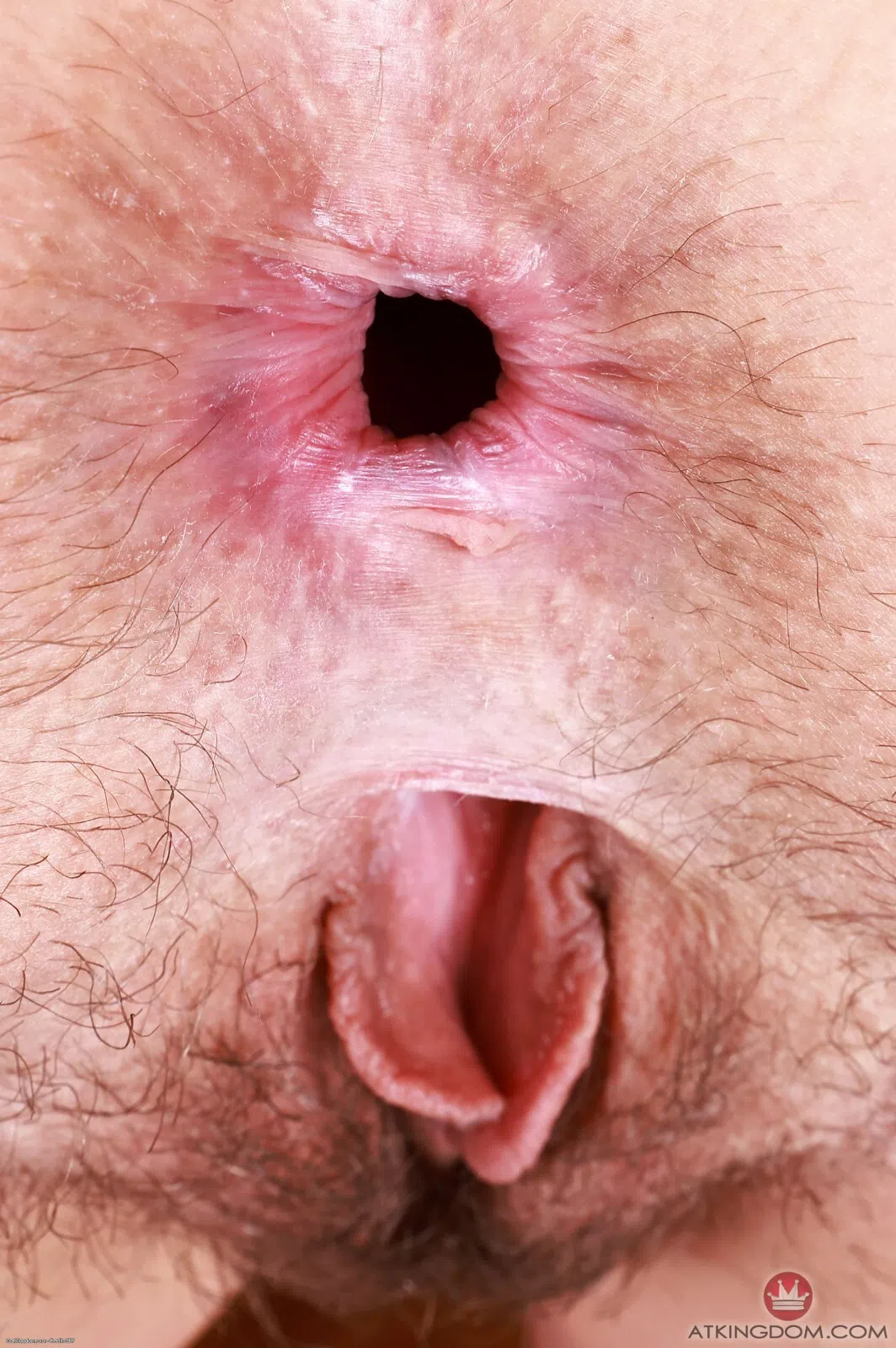 jackie-hoff-atk-hairy-183144 Of Page 3-12.webp