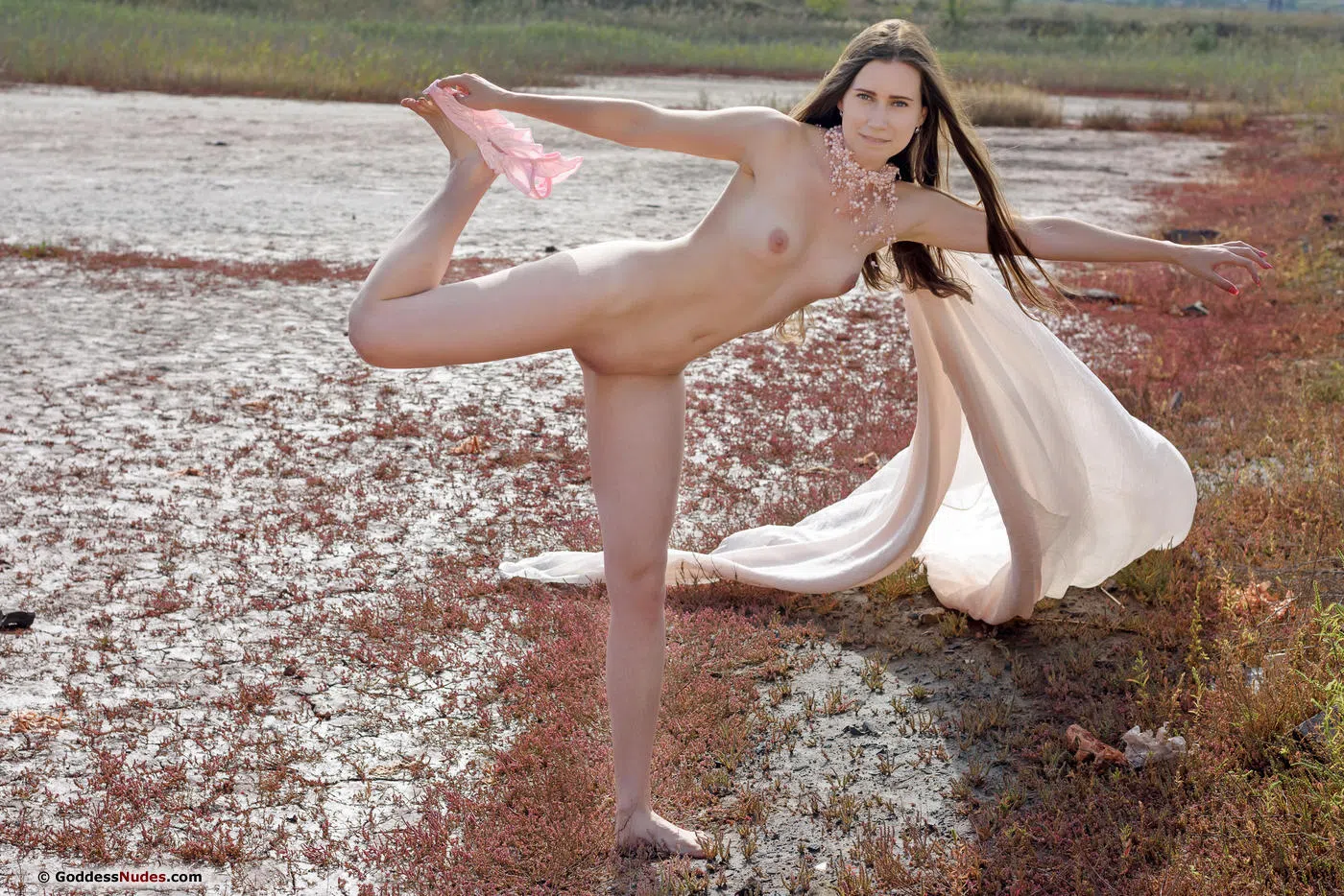 lady-di-goddess-nudes-38899 Of Page 1-2.webp