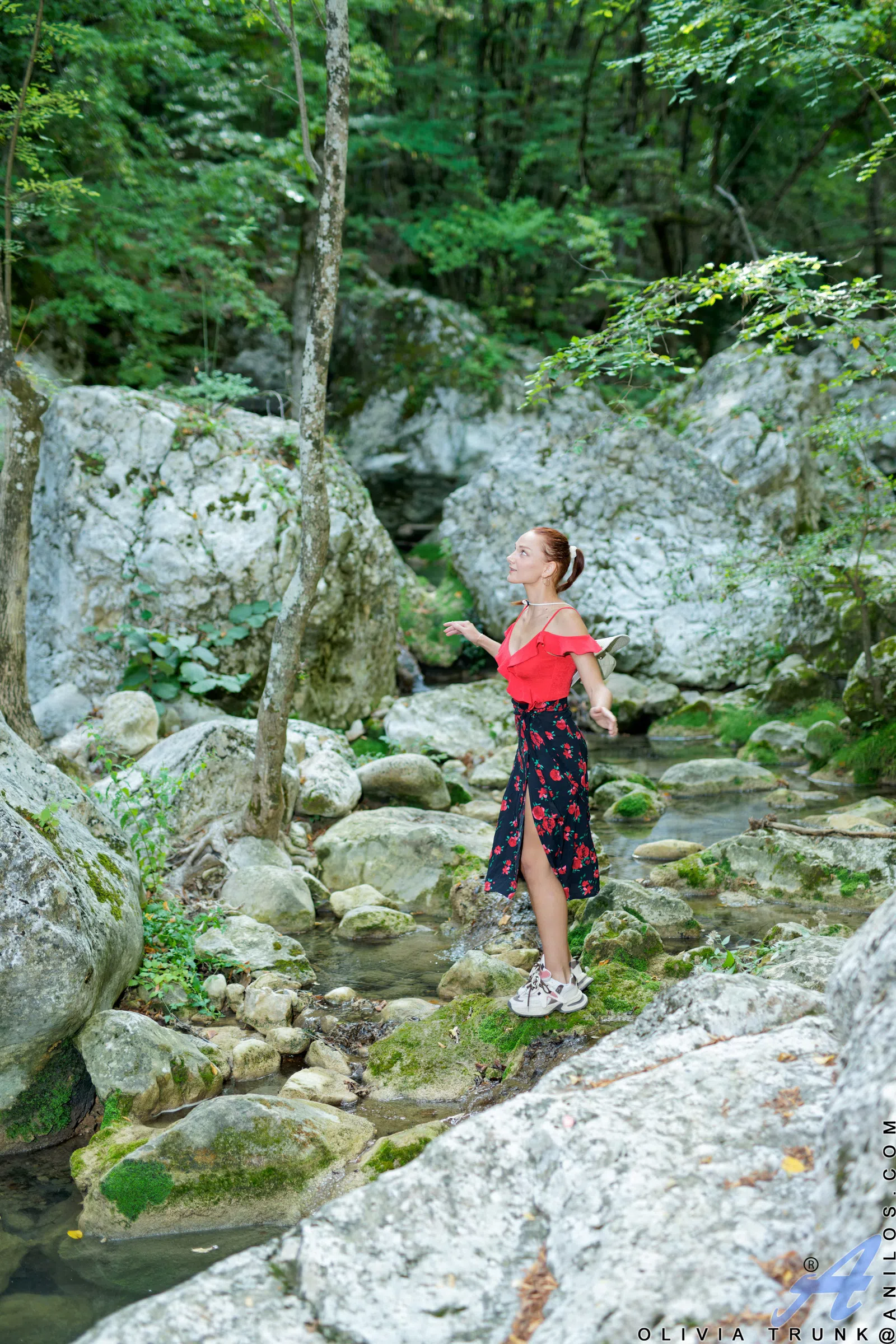olivia-trunk-anilos-1-179152 Of Page 1-1.webp