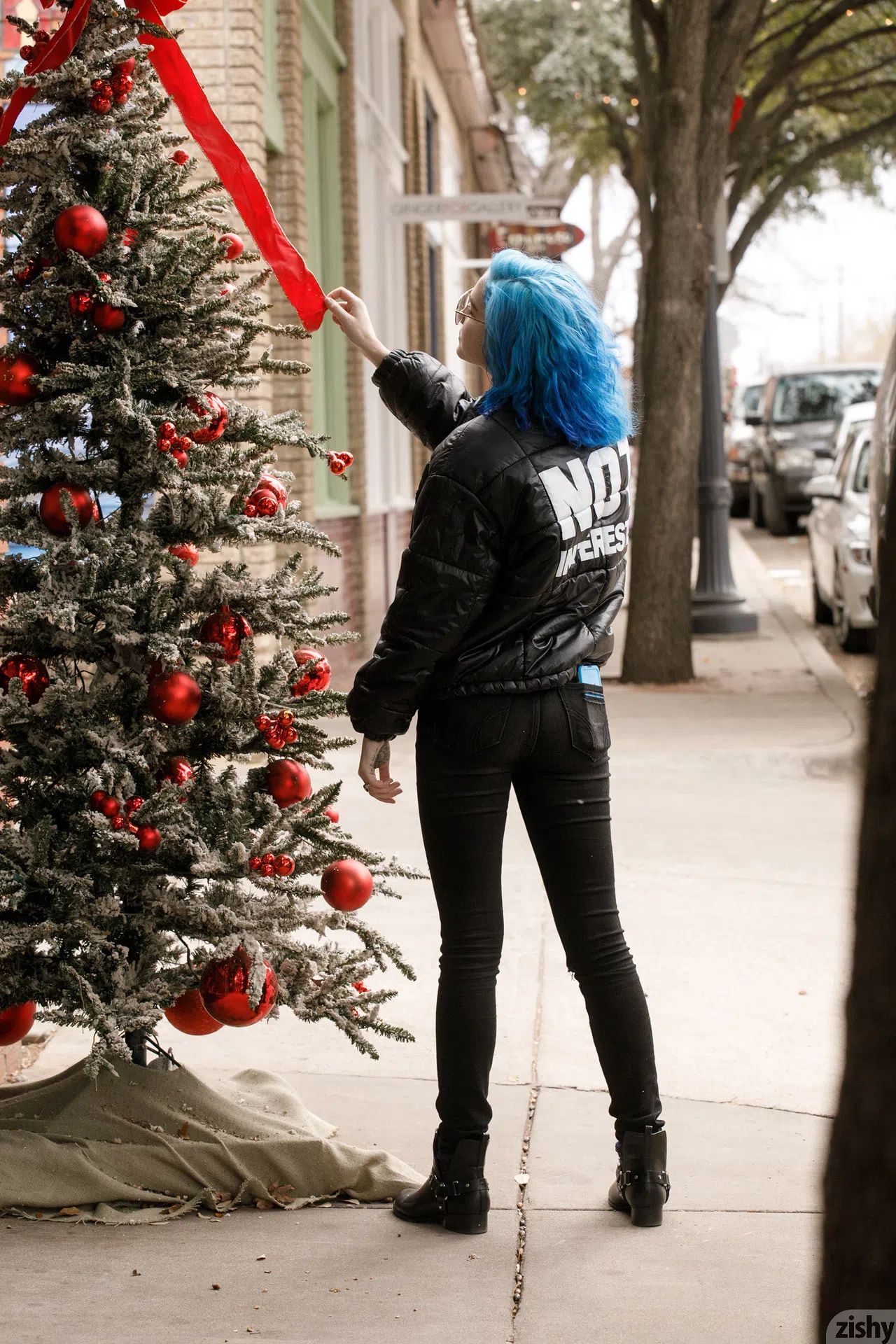 skye-blue-has-silver-bells-ii-zishy-53923 Of Page 1-1.webp
