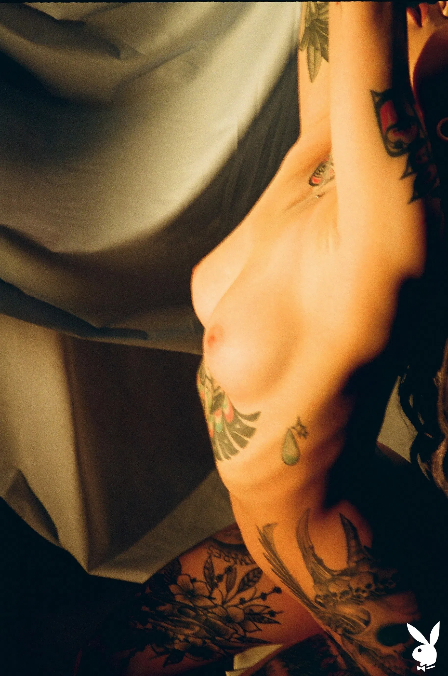 taylor-white-playboy-plus-84915 Of Page 2-7.webp