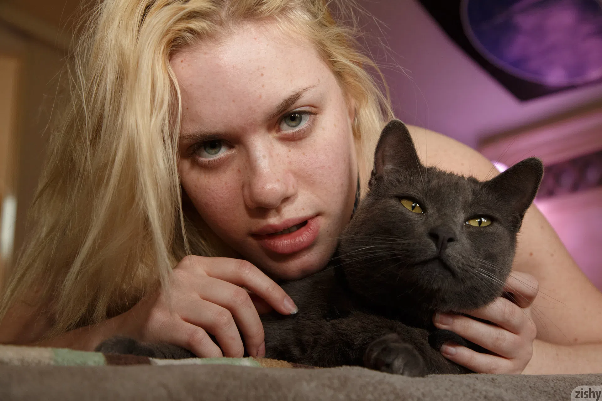wren-davis-cats-and-stars-61222 Of Page 2-7.webp