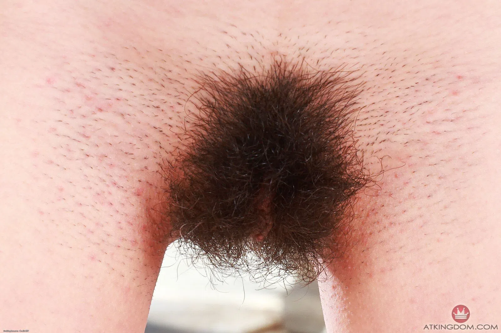 amber-summer-atk-hairy-135977 Of Page 2-8.webp