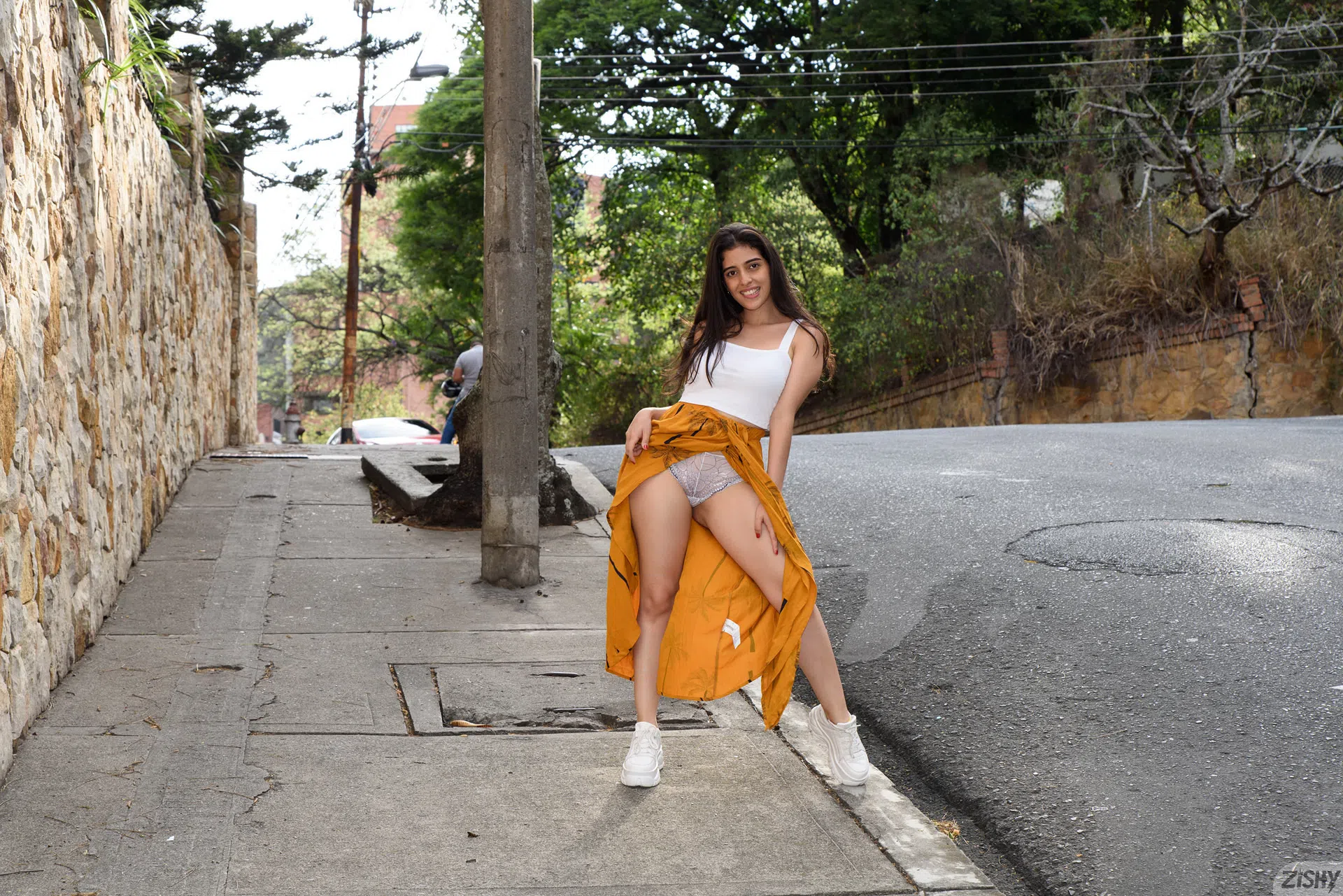 ileana-burgos-pumpkin-spice-zishy-107558 Of Page 1-2.webp