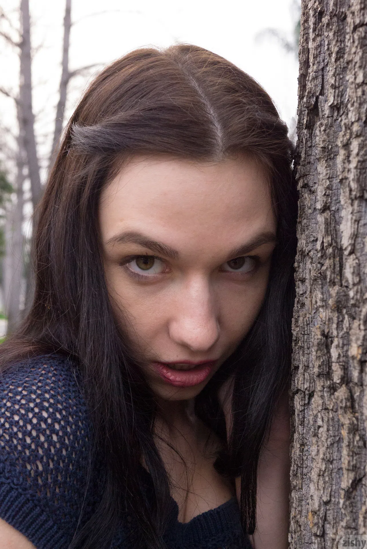 yana-kushnir-parking-permits-zishy-11715 Of Page 3-12.webp